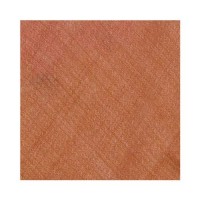Fine Pashmina with Hand Needle Work Stole