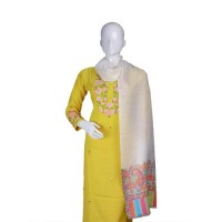 Self Weaving Pashmina Kani Border Shawl 