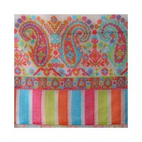 Self Weaving Pashmina Kani Border Shawl 