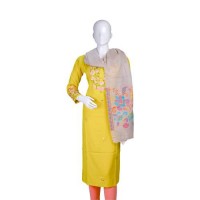 Self Weaving Pashmina Kani Border Shawl 
