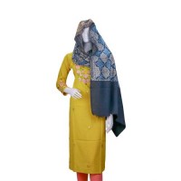 Jaal Embroidary Kashmiri Pashmina Stole in Blue