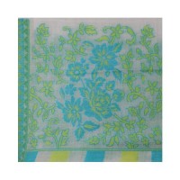 Self Weaving Pashmina Kani Border Shawl 