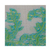 Self Weaving Pashmina Kani Border Shawl 